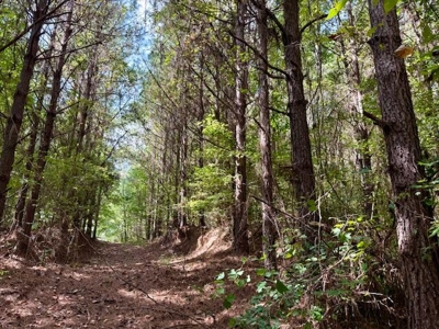 Mississippi Land For Sale With A Creek - image 9