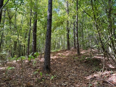 Mississippi Land For Sale With A Creek - image 28