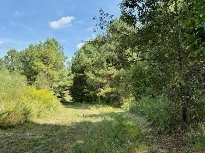 Mississippi Land For Sale With A Creek - image 33