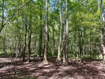 Mississippi Land For Sale With A Creek - image 40