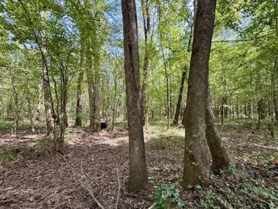 Mississippi Land For Sale With A Creek - image 42