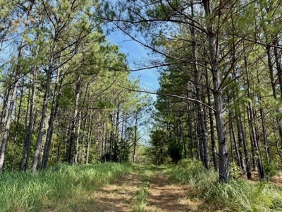 Mississippi Land For Sale With A Creek - image 11