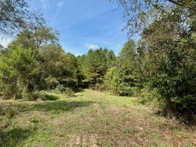 Mississippi Land For Sale With A Creek - image 31