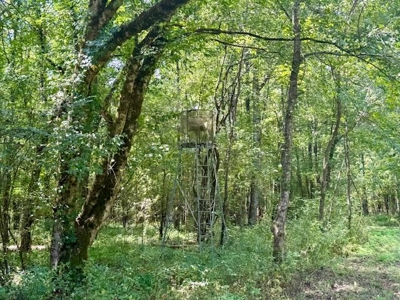 Mississippi Land For Sale With A Creek - image 8