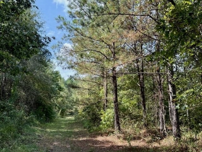 Mississippi Land For Sale With A Creek - image 34