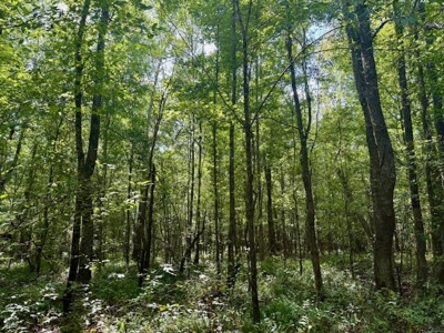 Mississippi Land For Sale With A Creek - image 38