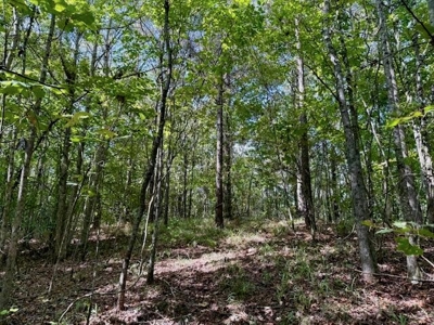 Mississippi Land For Sale With A Creek - image 22
