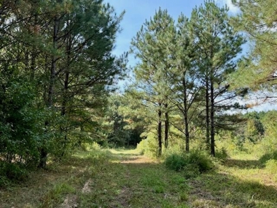 Mississippi Land For Sale With A Creek - image 32