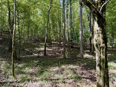 Mississippi Land For Sale With A Creek - image 13