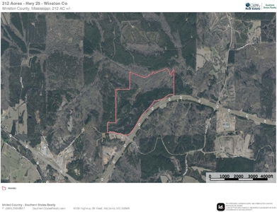 Mississippi Land For Sale With A Creek - image 47