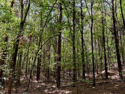 Mississippi Land For Sale With A Creek - image 35
