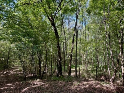 Mississippi Land For Sale With A Creek - image 29