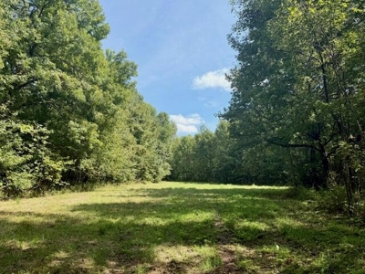 Mississippi Land For Sale With A Creek - image 6