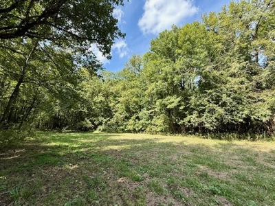 Mississippi Land For Sale With A Creek - image 7