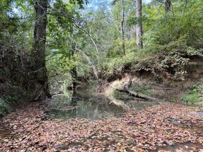 Mississippi Land For Sale With A Creek - image 16