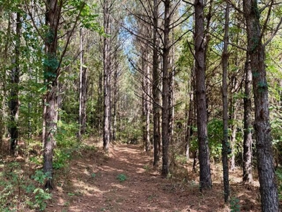 Mississippi Land For Sale With A Creek - image 12