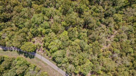 Restricted Lot in River's Edge Gated Community in Big Sandy, TN - image 7