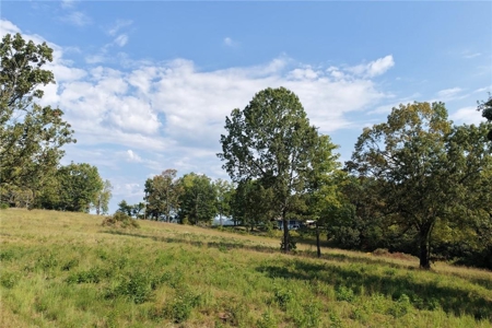 28 Acres Harrison Land For Sale Paved Road Frontage - image 12