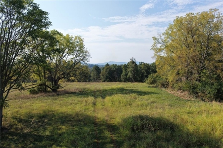 28 Acres Harrison Land For Sale Paved Road Frontage - image 7