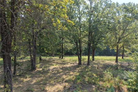 28 Acres Harrison Land For Sale Paved Road Frontage - image 13