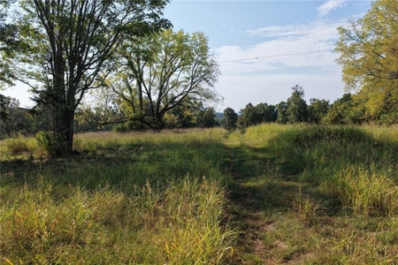28 Acres Harrison Land For Sale Paved Road Frontage - image 6
