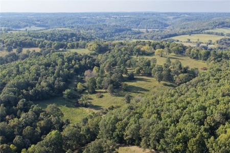 28 Acres Harrison Land For Sale Paved Road Frontage - image 21