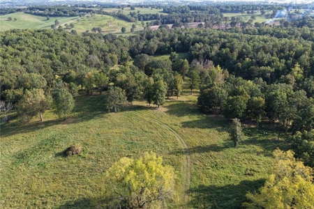 28 Acres Harrison Land For Sale Paved Road Frontage - image 18