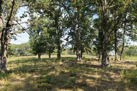 28 Acres Harrison Land For Sale Paved Road Frontage - image 4
