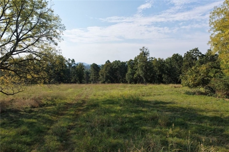 28 Acres Harrison Land For Sale Paved Road Frontage - image 14