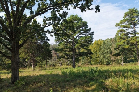 28 Acres Harrison Land For Sale Paved Road Frontage - image 1