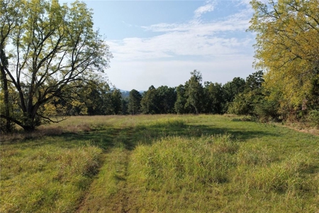 28 Acres Harrison Land For Sale Paved Road Frontage - image 3