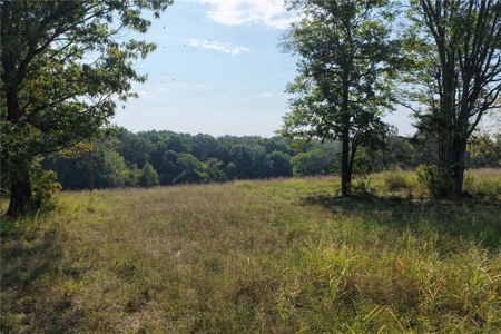 28 Acres Harrison Land For Sale Paved Road Frontage - image 5