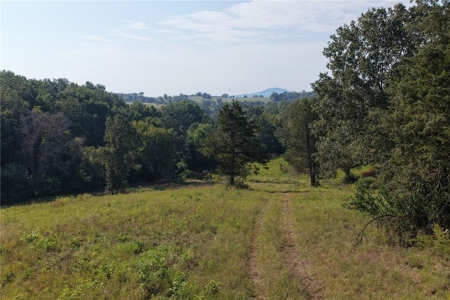 28 Acres Harrison Land For Sale Paved Road Frontage - image 11
