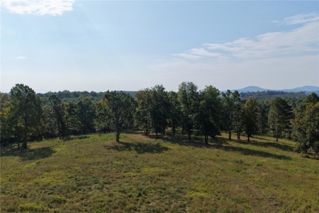 28 Acres Harrison Land For Sale Paved Road Frontage - image 10