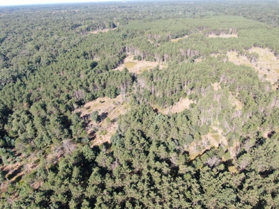 80-acre timber tract in Adams County - image 30
