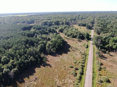 80-acre timber tract in Adams County - image 4