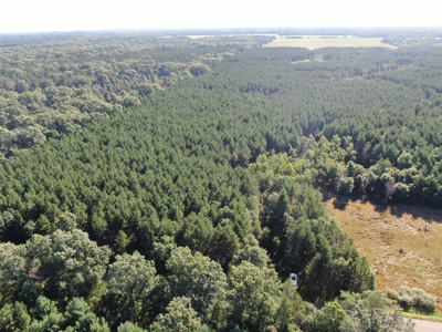 80-acre timber tract in Adams County - image 22