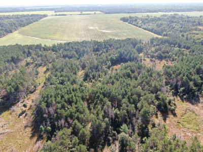 80-acre timber tract in Adams County - image 29