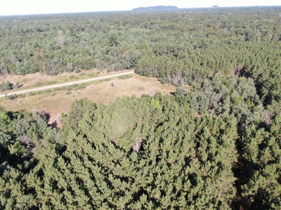 80-acre timber tract in Adams County - image 35