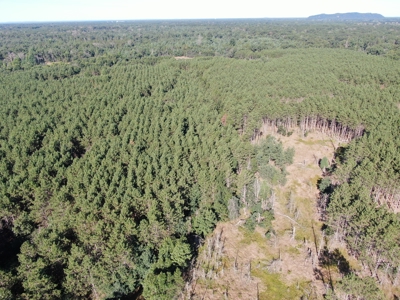 80-acre timber tract in Adams County - image 33