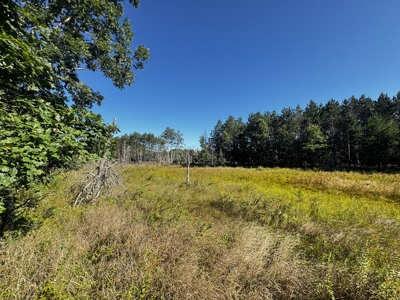 80-acre timber tract in Adams County - image 41