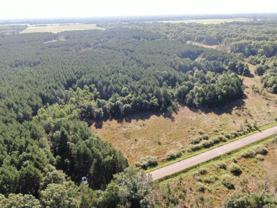 80-acre timber tract in Adams County - image 21