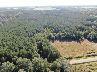 80-acre timber tract in Adams County - image 1