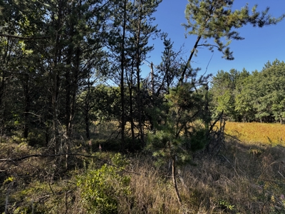 80-acre timber tract in Adams County - image 37