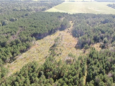 80-acre timber tract in Adams County - image 28