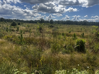 80-acre parcel in the Town of Big Flats - image 29
