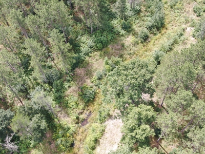 80-acre parcel in the Town of Big Flats - image 7
