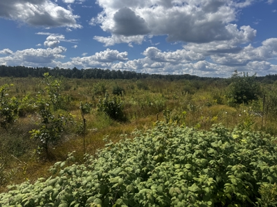 80-acre parcel in the Town of Big Flats - image 30