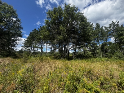 80-acre parcel in the Town of Big Flats - image 17
