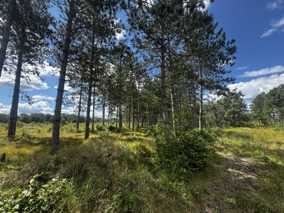 80-acre parcel in the Town of Big Flats - image 12